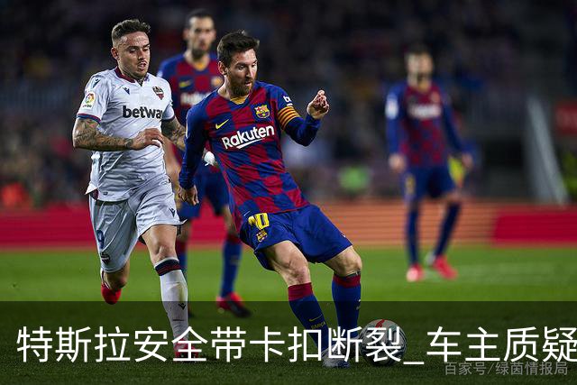 特斯拉安全带卡扣断裂 车主质疑质量缺陷