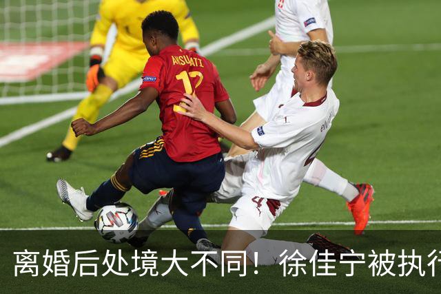 离婚后处境大不同！徐佳宁被执行标的2111万元，李小冉买豪宅名车