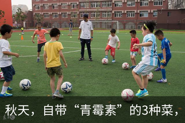 秋天，自带“青霉素”的3种菜，隔天吃一回，清热解毒、增强免疫