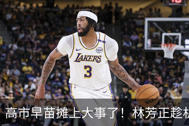 高市早苗摊上大事了！林芳正趁机逼宫高市，要为远大前程撒手一搏